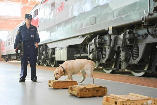 Источник: Максим Воробьев