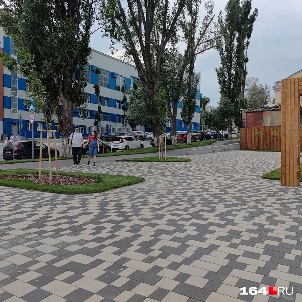Источник: Сергей Гендин / 164.RU