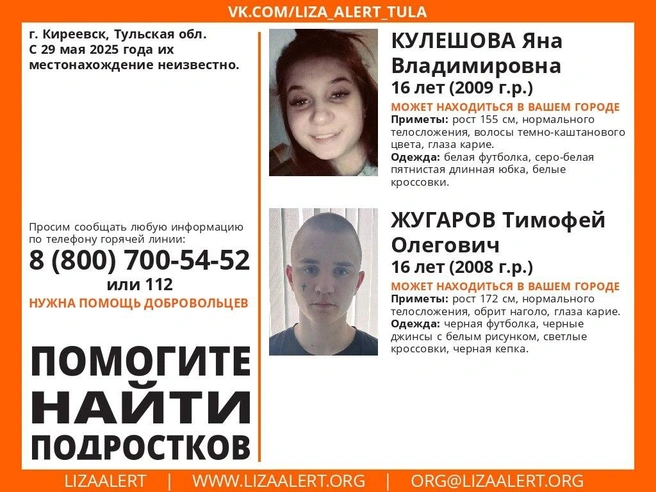 Ориентировка на пропавших детей | Источник: Поисковый отряд «ЛизаАлерТ» Тульской области / ВКонтакте