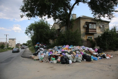Жительница Архангельска шокирована свалкой в Волгограде