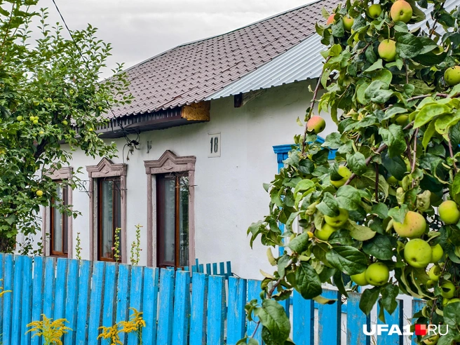 Яблочки растут | Источник: Булат Салихов / UFA1.RU