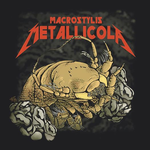 Найденных рачков назвали в честь группы Metallica