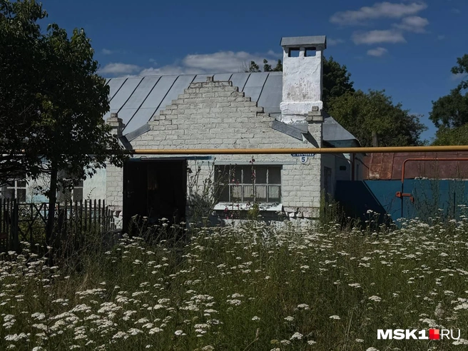 Домики в селе, где была прописана Гретта | Источник: Вера Борисова / MSK1.RU