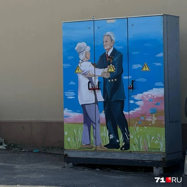 Многие электросчетчики скрыты за красивой защитой, и это один из примеров | Источник: Виктория Денисова / 71.RU