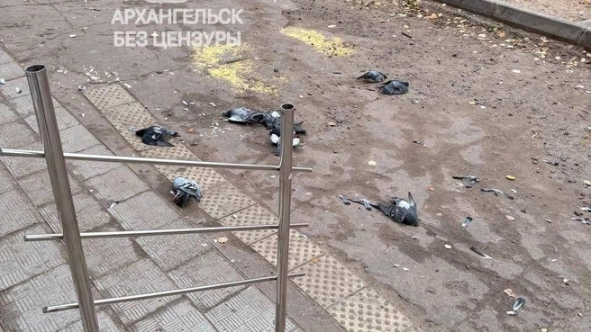 Источник: Архангельск Без Цензуры 18+ / t.me