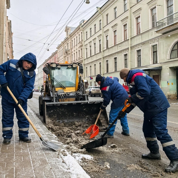 Источник: Комитет по благоустройству Санкт-Петербурга