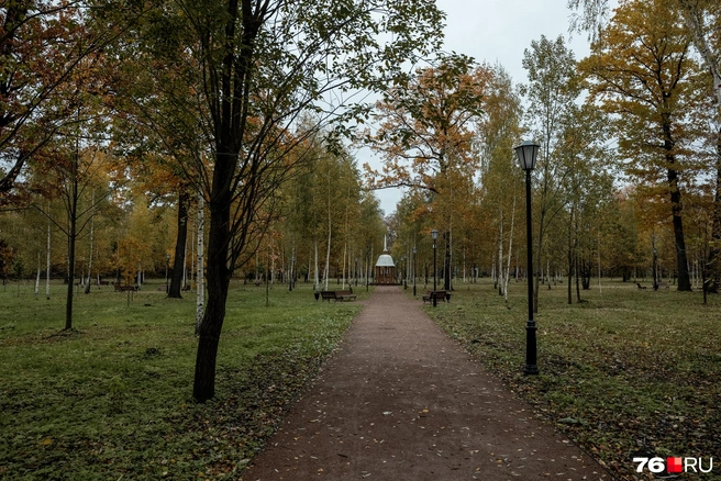 В парке обустроены прогулочные дорожки, установлены фонари и скамейки для отдыха посетителей | Источник: Александр Куренной / 76.RU