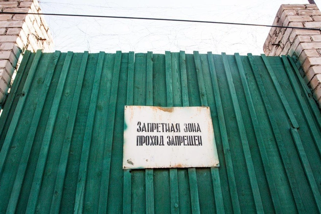Источник: Ксения Зимина