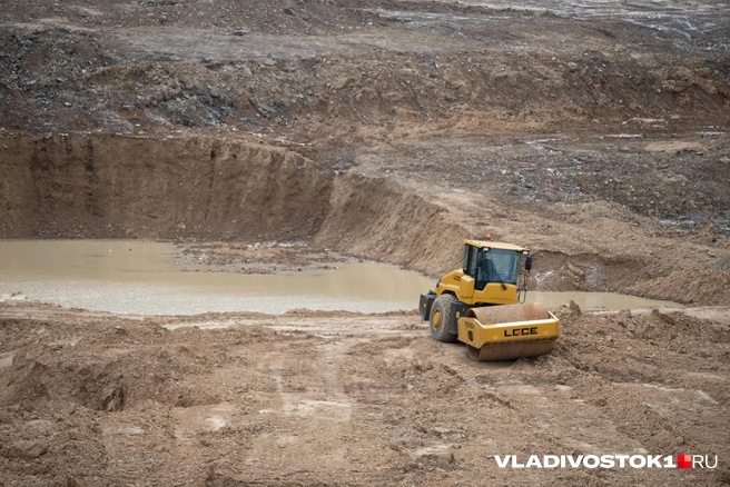 Источник: Елена Буйвол / VLADIVOSTOK1.RU