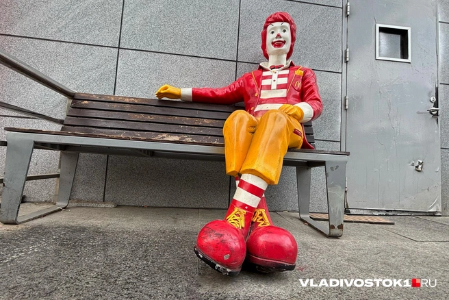 Источник: Елена Буйвол / VLADIVOSTOK1.RU
