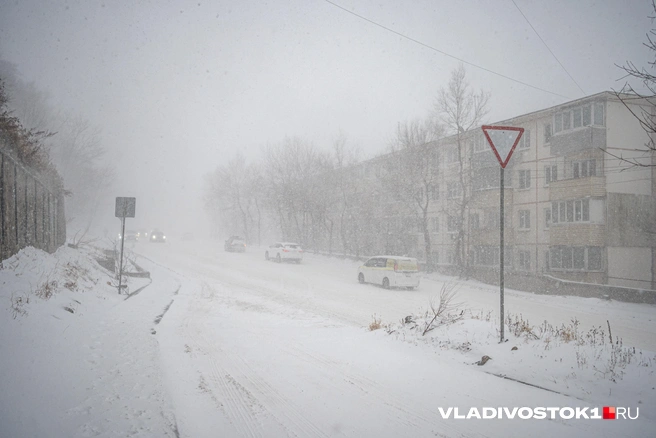 Источник: Елена Буйвол / VLADIVOSTOK1.RU
