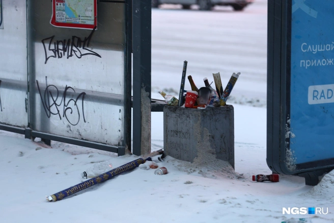 Кое-кто хоть попытался мусоркой воспользоваться | Источник: Александр Ощепков / NGS.RU