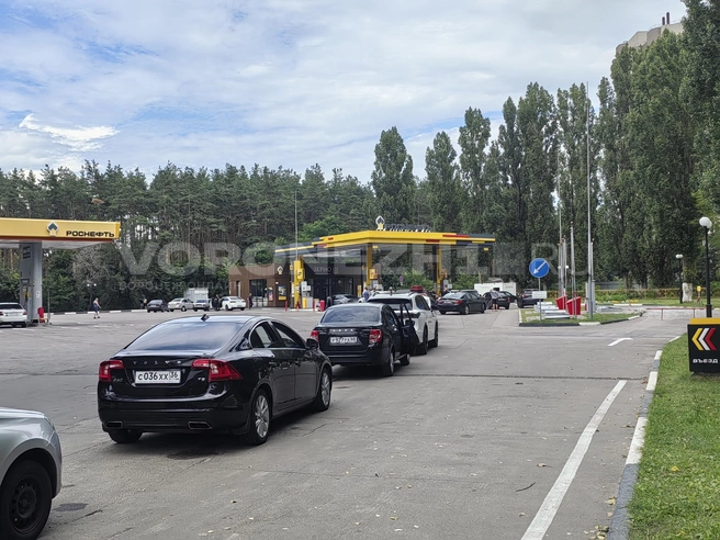 Огромная очередь берет свое начало от АЗС и тянется почти на километр | Источник: Андрей Пашинский / Voronezh1.ru
