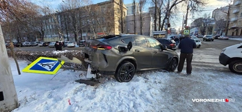 Источник: читатель Voronezh1.ru