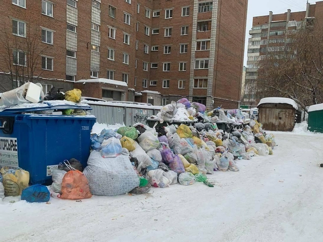 По итогам проверок 13 представлений внесли генеральному директору АО «САХ» | Источник: Прокуратура Новосибирской области