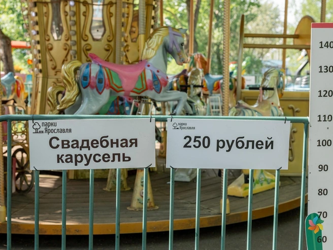 На «Свадебную карусель» допускаются дети ростом 90–140 см | Источник: Александр Куренной / 76.RU