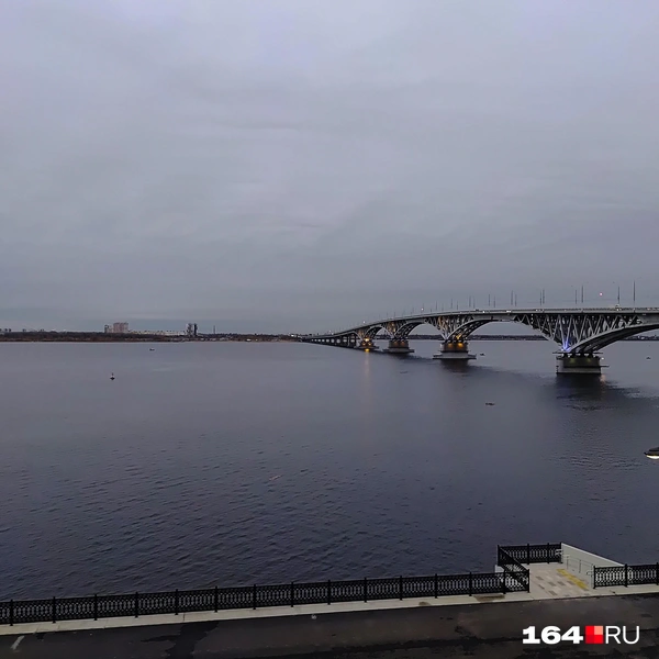 Источник: Сергей Гендин / 164.RU