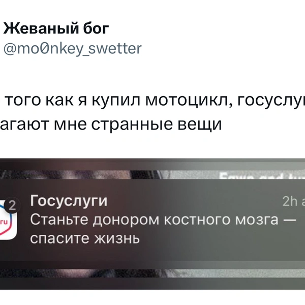 Источник: X (Twitter)