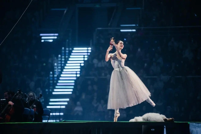 Источник: ООО «Ледовые сезоны»