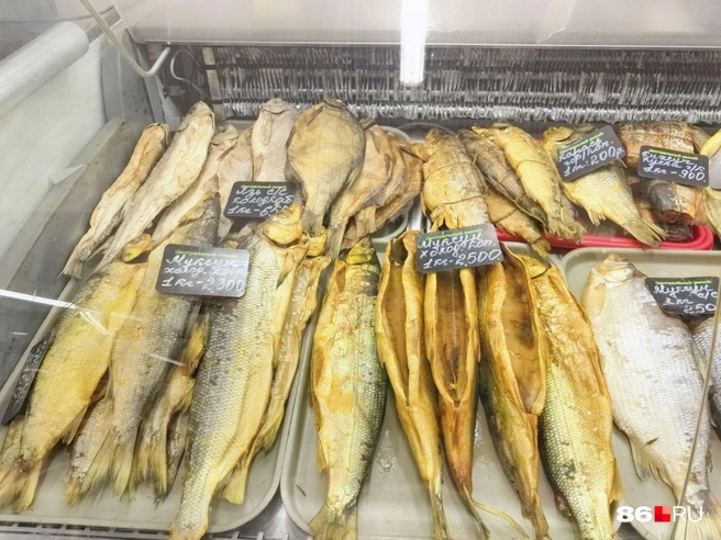 Источник: Анастасия Шевякова / 86.RU