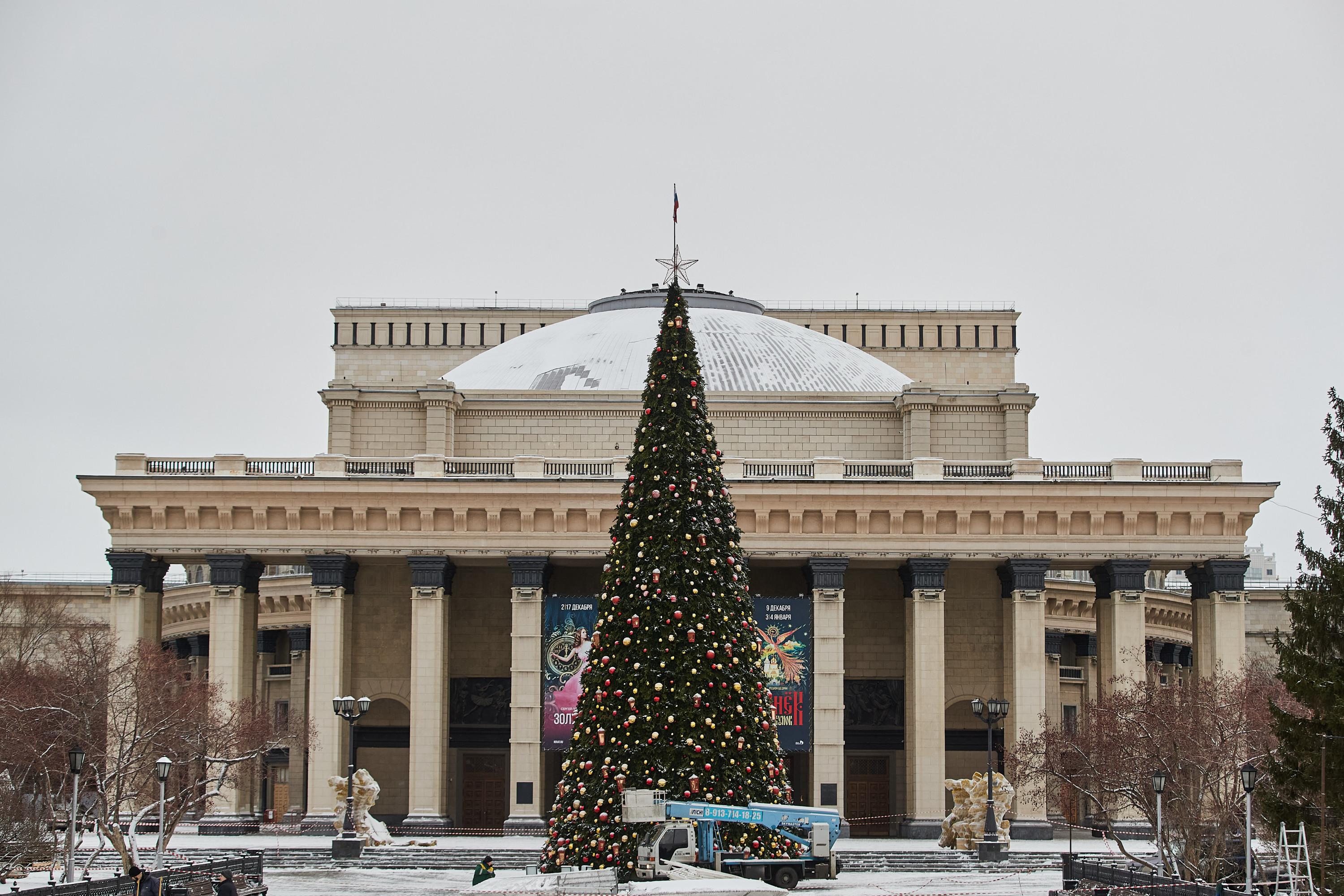 В Новосибирске на площади Ленина поставили главную елку города — что дальше  - 27 ноября 2023 - НГС.ру