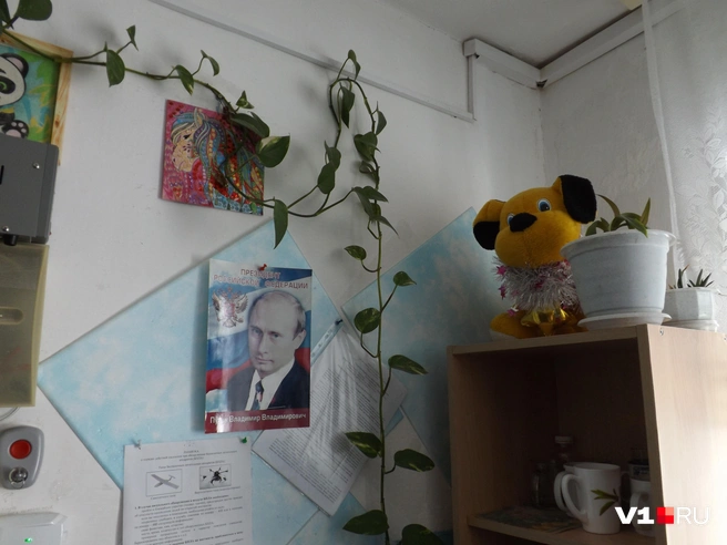 Как и во многих других школах, в Дворянской тоже висит портрет президента&nbsp;— прямо в учительской | Источник: Денис Паустовский / V1.RU