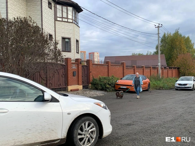 С собаками приходится гулять прямо в потоке машин | Источник: Дарья Манохина / E1.RU 
