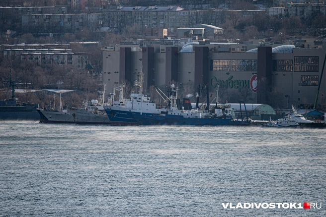 Источник: Елена Буйвол / VLADIVOSTOK1.RU