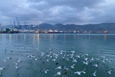 Греческий танкер атаковали под Новороссийском