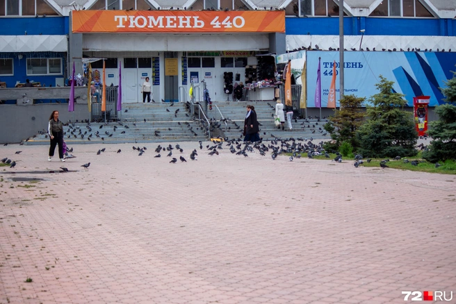 Идем к центральному рынку  | Источник: Павел Красоткин / 72.RU 