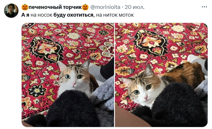 Источник: Социальные сети