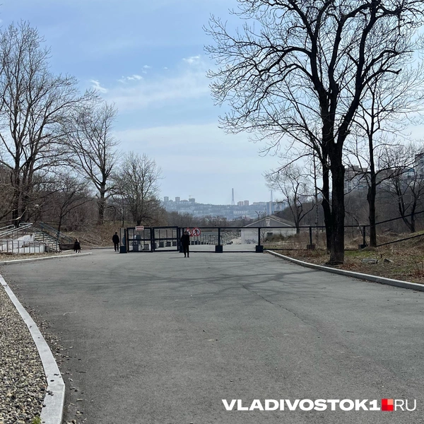 Источник: Елена Буйвол / VLADIVOSTOK1.RU