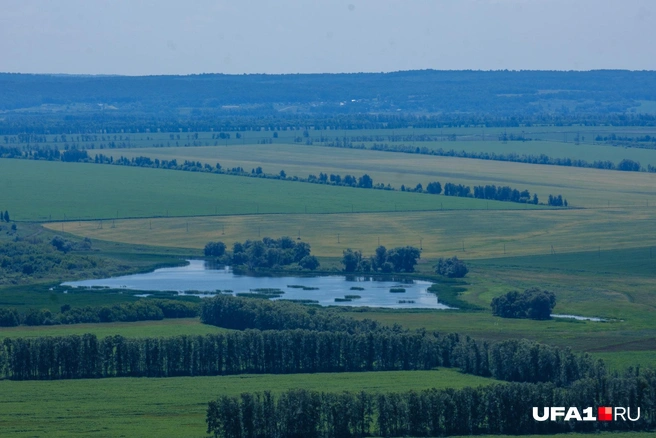 Водный прудик, где-то вдали от вершины | Источник: Булат Салихов / UFA1.RU