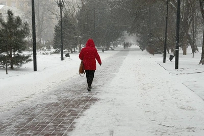 Rostov mentioned in Epstein files amid regional snowstorm