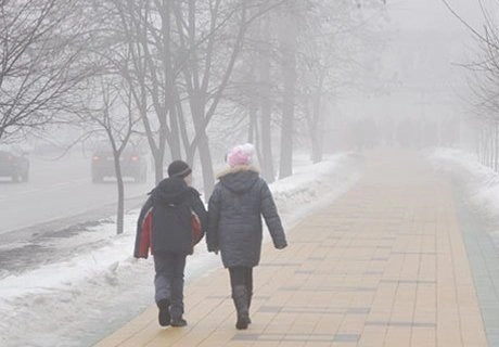 29 февраля в Рязани ожидается туман и гололедица | ya62.ru