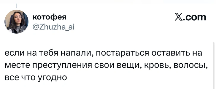 Источник: X (Twitter)