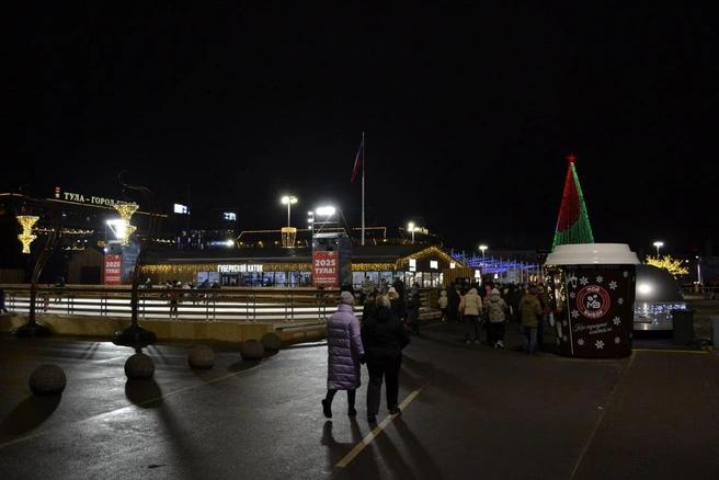 Так выглядел Губернский каток в декабре прошлого года | Источник: Максим Улитов / 71.RU