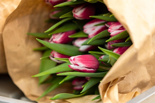 Самый весенний букет | Источник: Мария Ленц / NGS24.RU