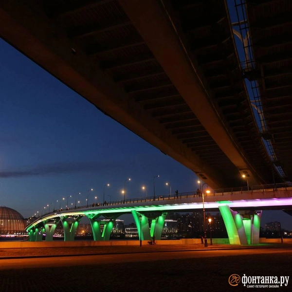 Источник: Сергей Михайличенко / «Фонтанка.ру»