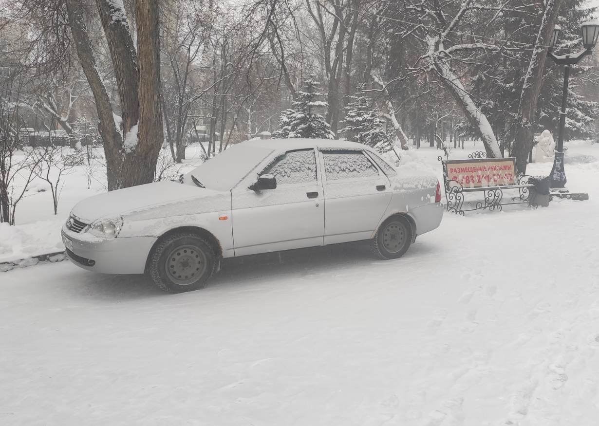 Куда жаловаться на незаконную парковку и автохамов в Новосибирске - 20  ноября 2019 - НГС.ру