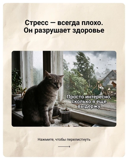 flip image
