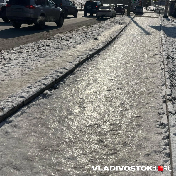 Источник: Елена Буйвол / VLADIVOSTOK1.RU