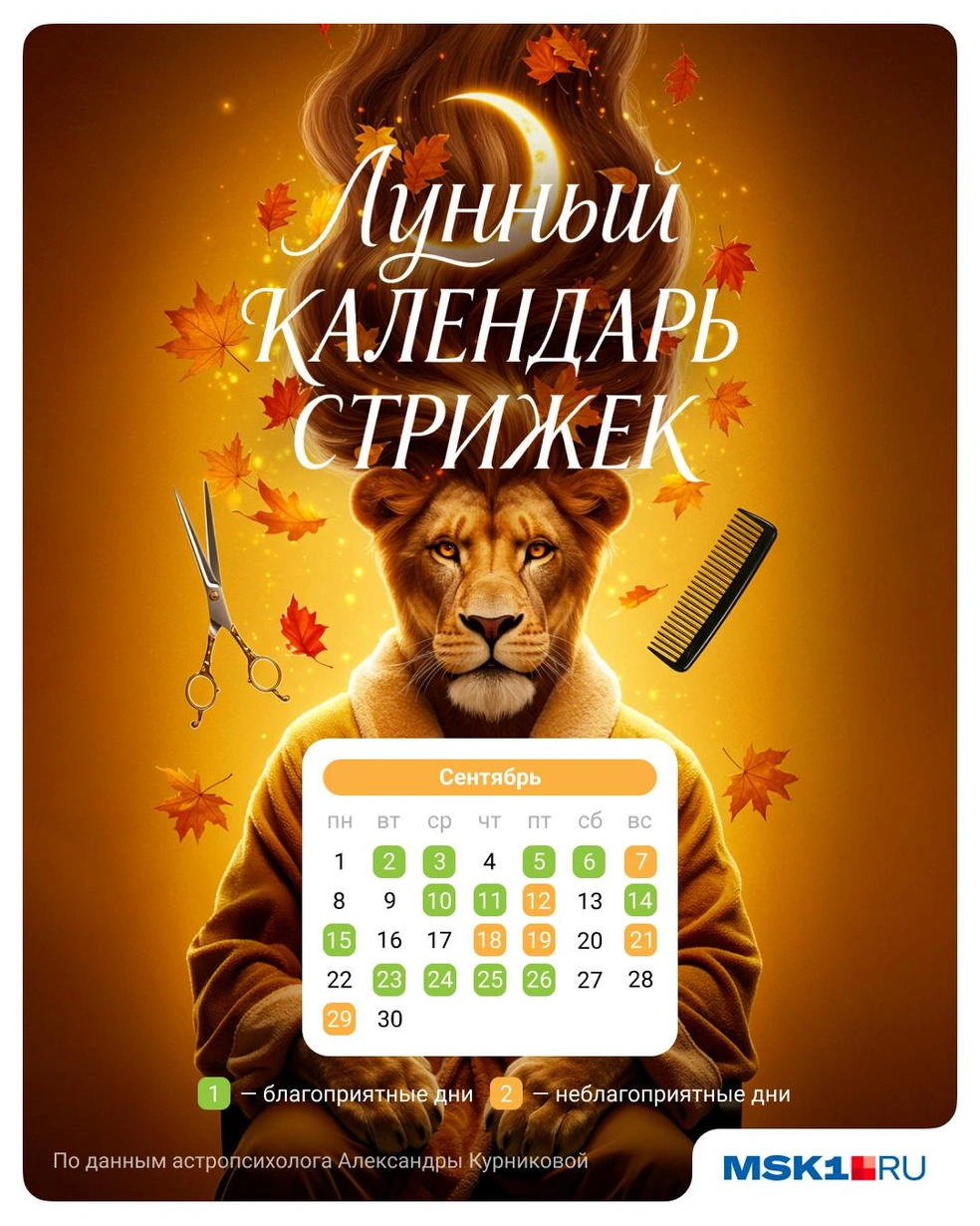 Источник: Полина Авдошина / Городские медиа