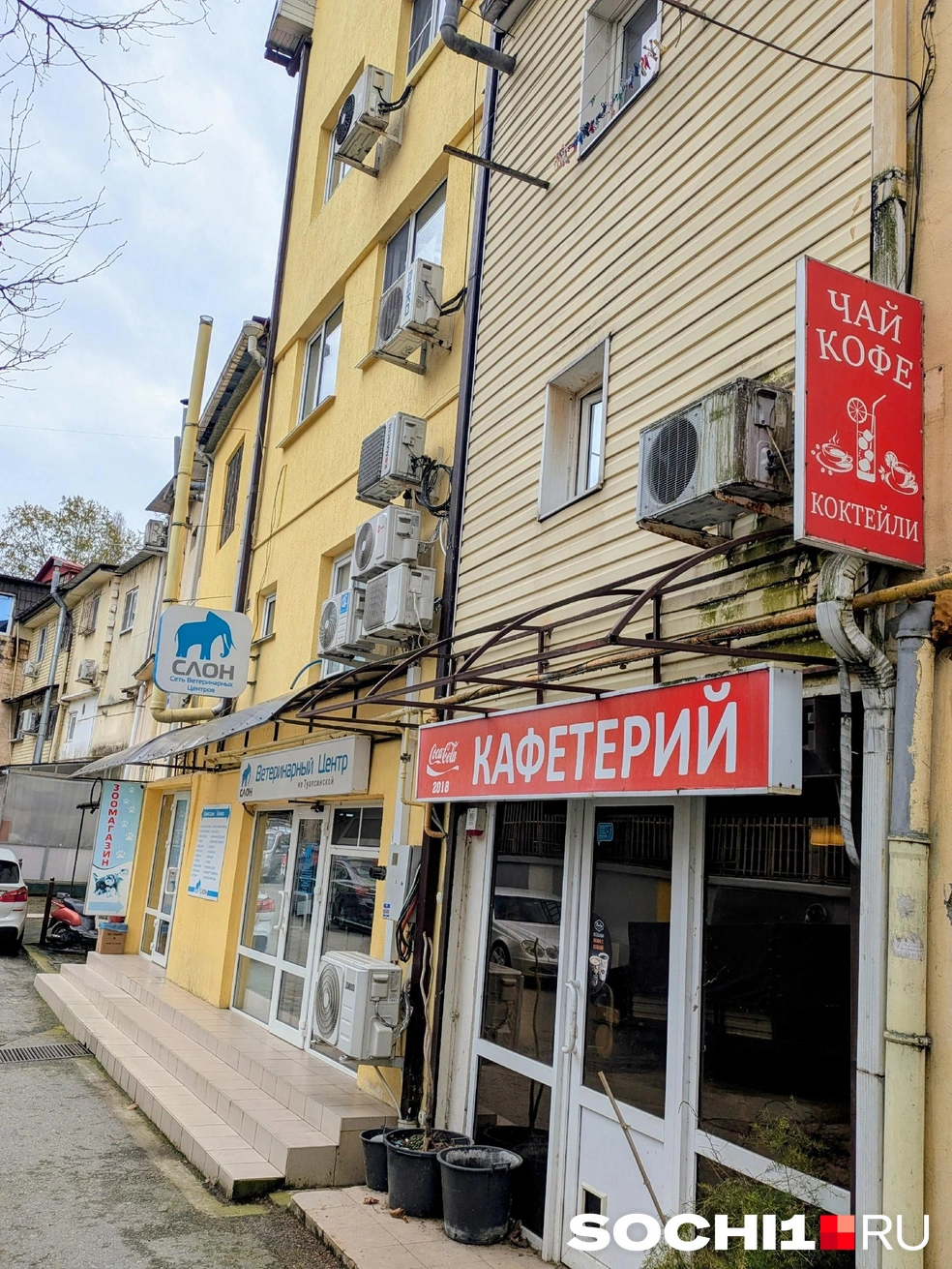 В гаражах в Сочи готовят вкусный кофе | Источник: Оксана Витязь / SOCHI1.RU