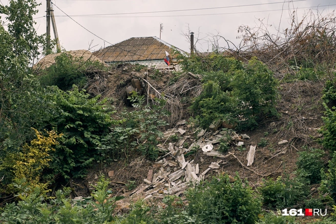 Источник: Артем Марьенко / 161.RU