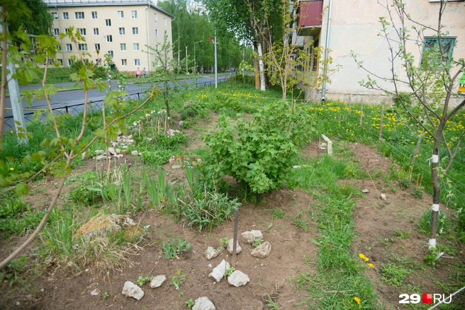 Источник: Иван Митюшёв / 29.RU