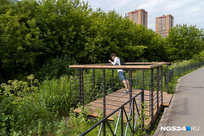 Площадка для подсчитывания бутылок и колес | Источник: Мария Ленц/ NGS24.RU