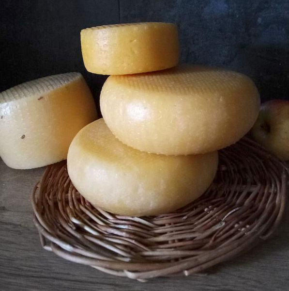 Четыре сыра: как шеф-повар из Санкт-Петербурга перебрался в деревню и занялся сыроварением