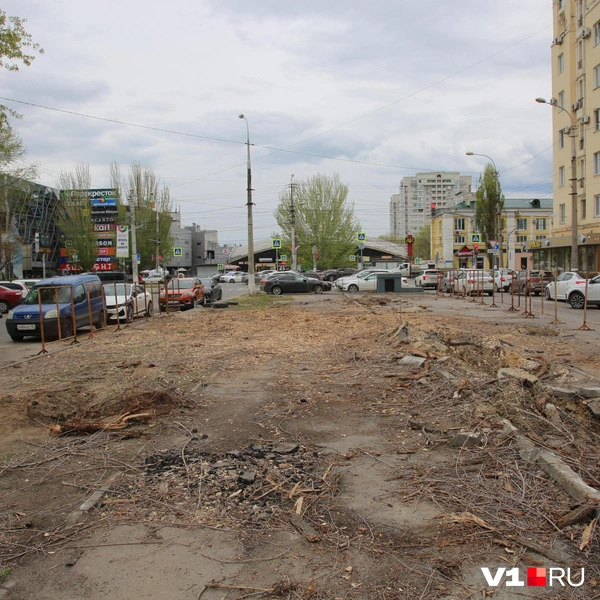 Вырублено всё. От Рабоче-Крестьянской и до нового ЖК | Источник: Константин Завриков / V1.RU