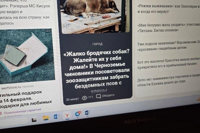 Гибель самбистки, успех Костылевой и халяльное мыло в Воронеже